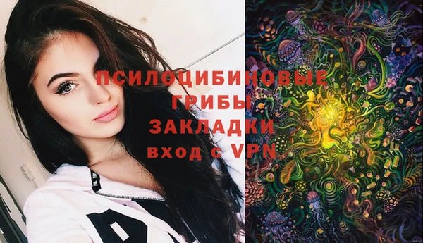 винт Лиски